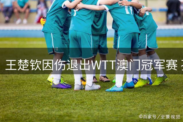 王楚钦因伤退出WTT澳门冠军赛 孙颖莎王曼昱均缺席